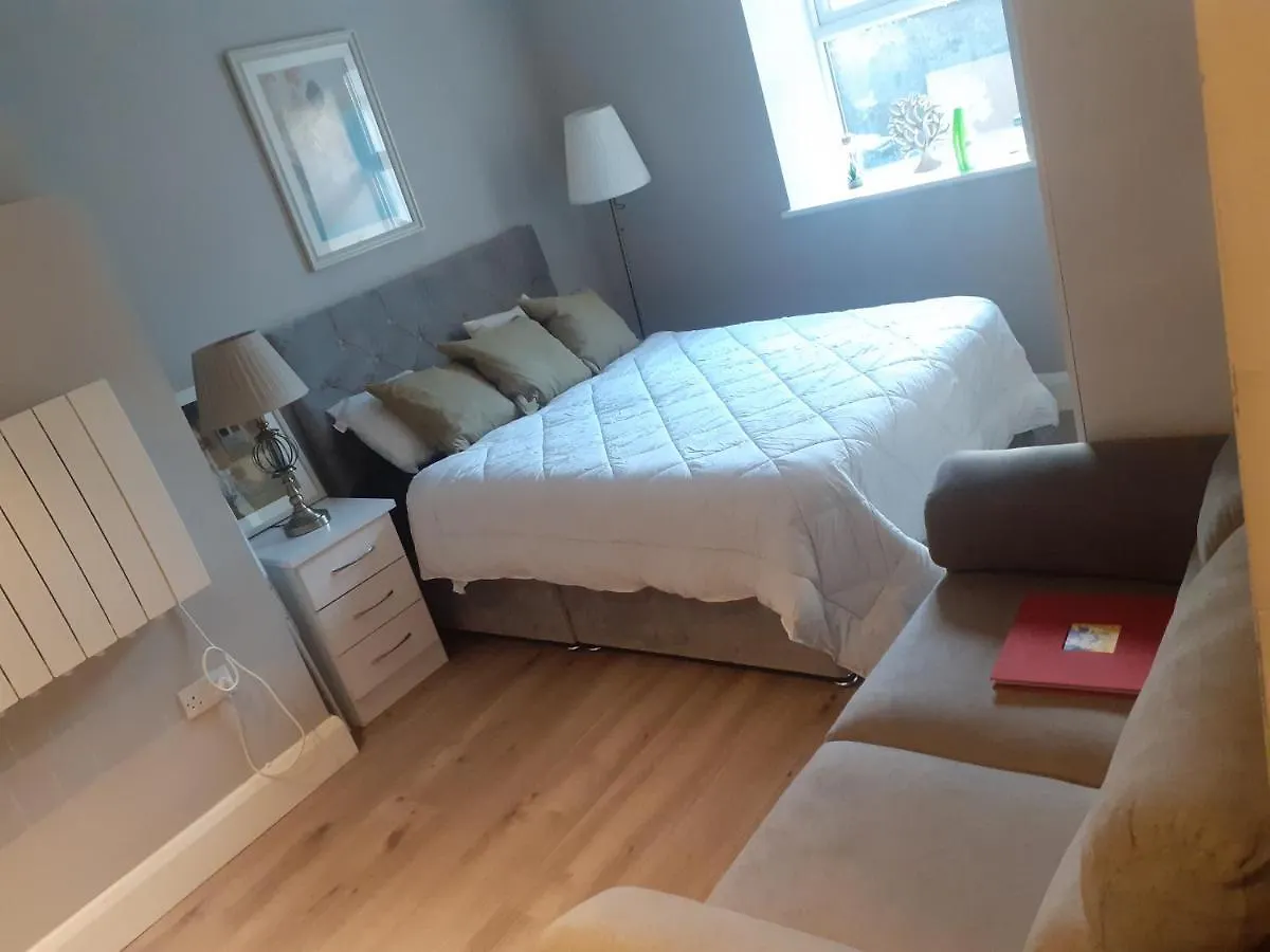 Apartment Spacious Studio-Dublin 3
